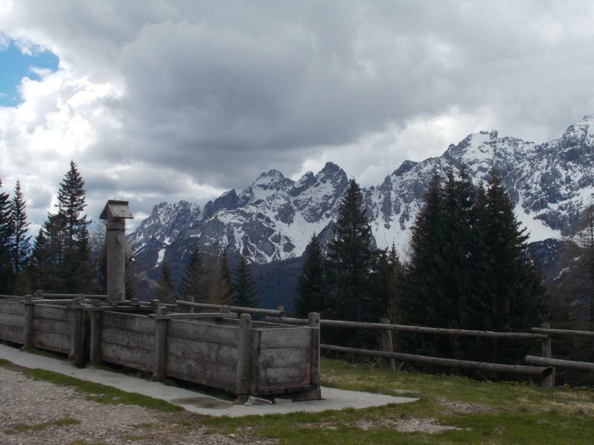 Ferienwohnung Balcone Sulle Dolomiti Comèlico Superiore Exterior foto