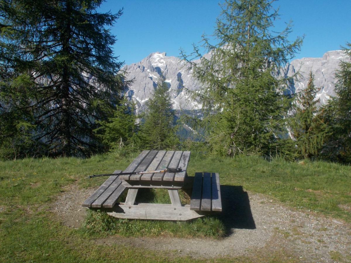 Ferienwohnung Balcone Sulle Dolomiti Comèlico Superiore Exterior foto